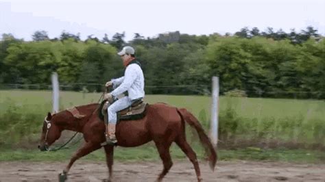 horse ride gif